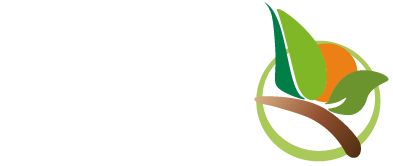 מ.י.כ.ו.ן. מנדלביץ ישי כהן ייעוץ הנדסי וסוכנויות