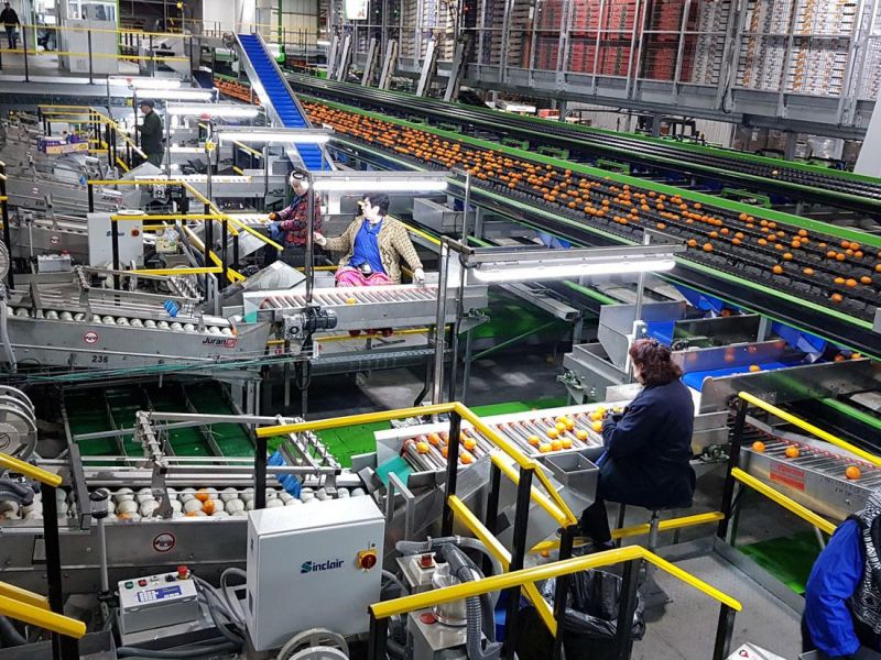 מהדרין פריאור